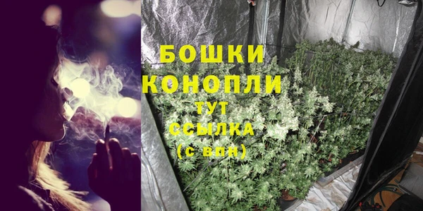 PSILOCYBIN Нефтегорск