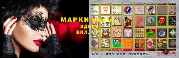 spice Новозыбков