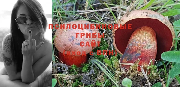 не бодяженный Новокубанск