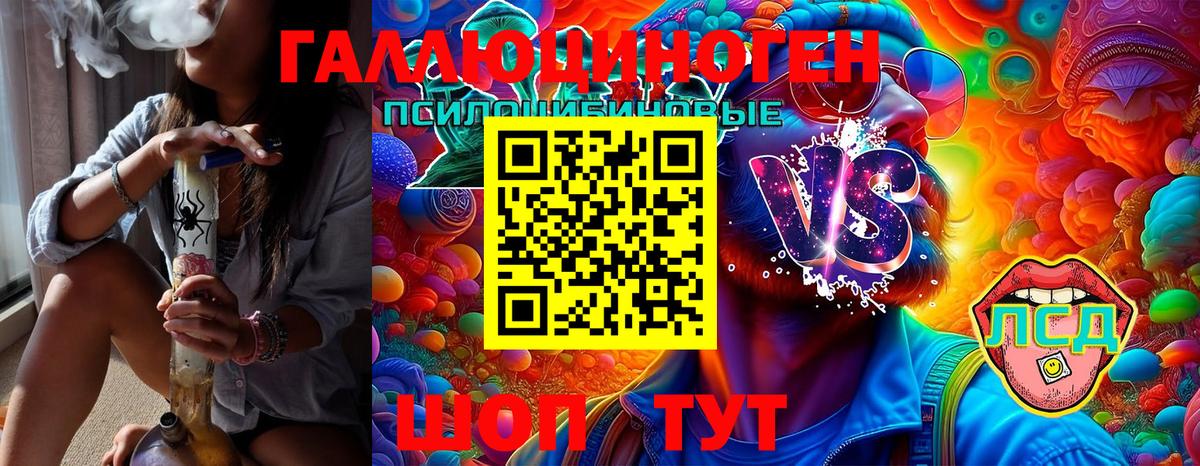 Псилоцибиновые грибы MAGIC MUSHROOMS  Сатка  Псилоцибиновые грибы Psilocybe 