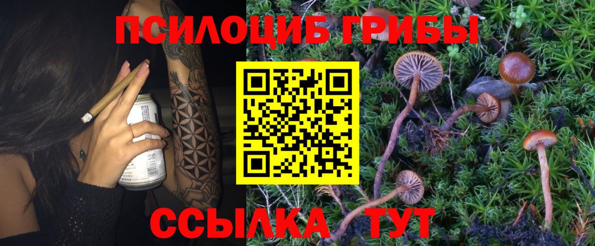 Галлюциногенные грибы мицелий  Вход с VPN  Сатка 